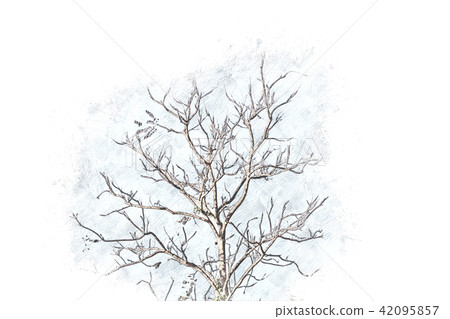 Colorful Tree landscape on watercolor painting 42095857