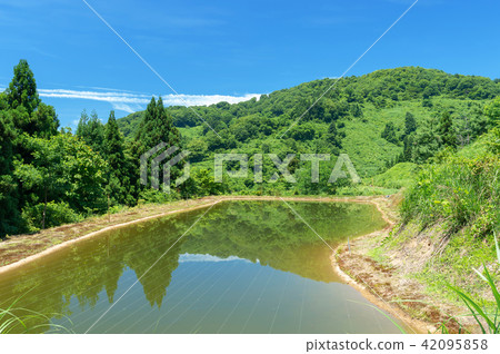 Yamakoshi Tanada和Tanaike的初夏是一年中最美麗的新鮮綠色季節 42095858