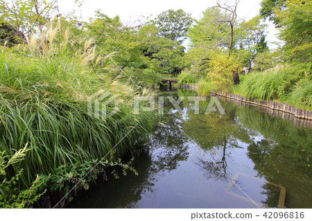 Makujima Hyakuen Garden in Sumida ku Tokyo 42096816
