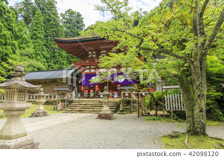 Tanyu Tobisu神社 42098120