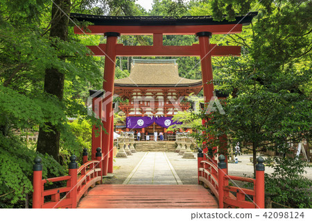 Tanyu Tobisu神社 42098124