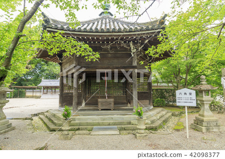 Taikaiji Taikaiji 42098377