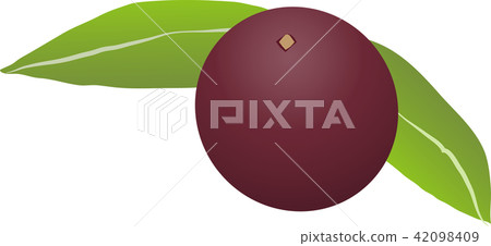 凸輪凸輪 凸輪凸輪 42098409