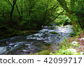 Clearstream Moss Mori River 42099717