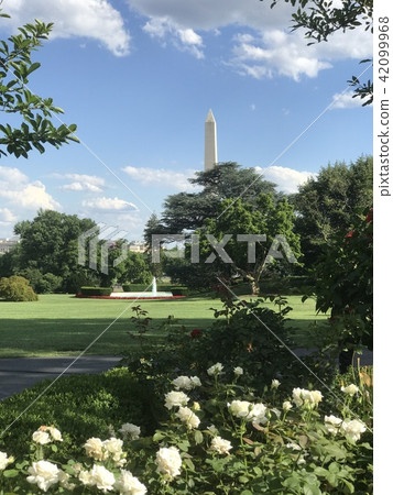 America White House Rose Garden 42099968