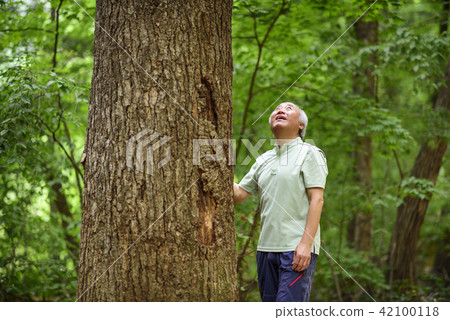 Senior Travel Senior Travel 42100118