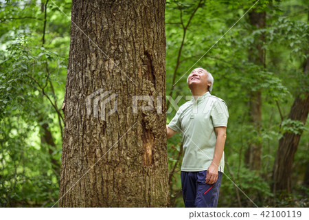 Senior Travel Senior Travel 42100119