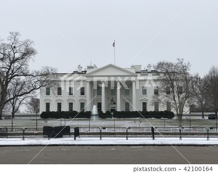 White House Snow White House Snow 42100164