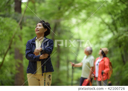 Senior Travel 42100726