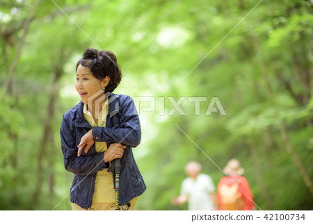 高級旅行 42100734