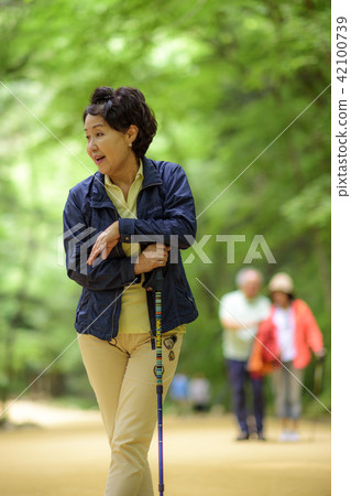 Senior Travel Senior Travel 42100739