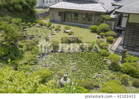 佛寺（鎌倉市秀田）的花園 42101413