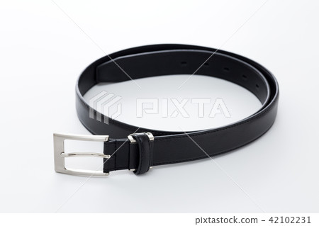 belt 42102231