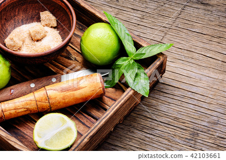 Fresh green mint and lime Fresh green mint and lime 42103661
