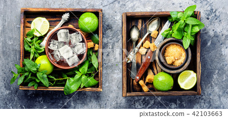 Summer mojito drink 42103663