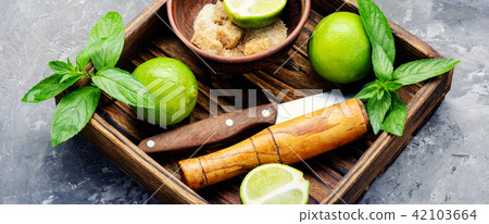 Summer refreshing cocktail mojito Summer refreshing cocktail mojito 42103664