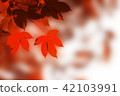 Maple leaf background 42103991
