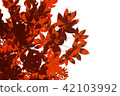 Maple leaf background 42103992