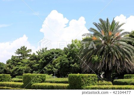 Inage Coast Park (Chiba) 42104477