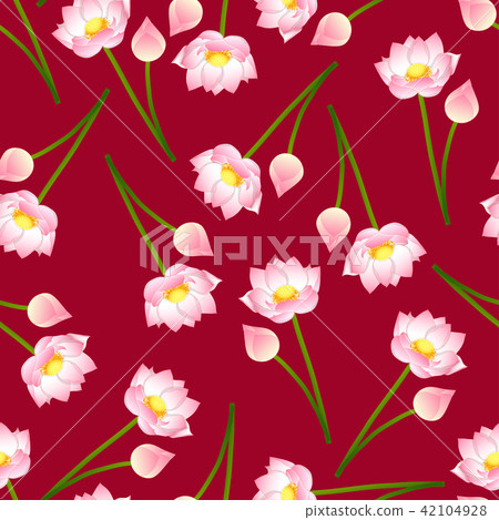 Pink Indian lotus on Red Background. 42104928