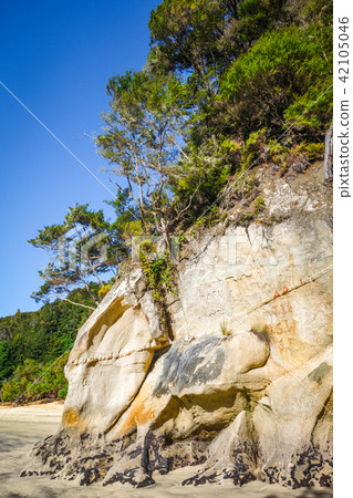 Creek in Abel Tasman National Park, New Zealand Creek in Abel Tasman National Park, New Zealand 42105046