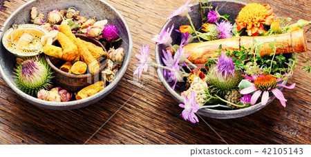 Healing herbs with mortar Healing herbs with mortar 42105143