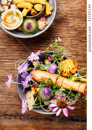 Herbs medicine flowers 42105144