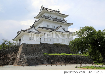 Odawara Castle (Kanagawa) Odawara Castle (Kanagawa) 42105216