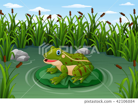 圖庫插圖: cartoon frog on a leaf in the pond