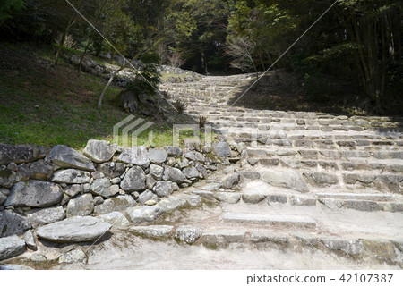 Azuchi Castle Ninakabarasaka 42107387