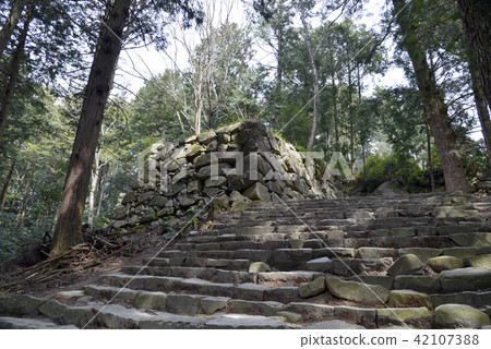 Azuchi castle 42107388