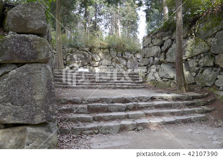 Azuchi castle 42107390