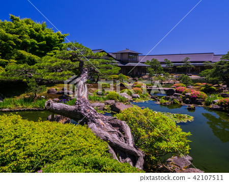 The Japanese garden Yushien in Shimane prefecture 42107511