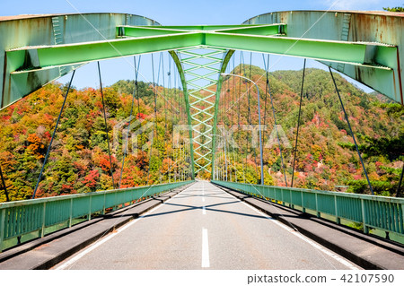 Autumn · autumn leaves · drive Autumn · autumn leaves · drive 42107590
