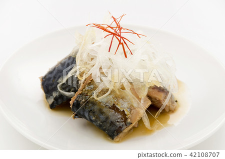 煮熟的鯖魚煮熟的洋蔥 煮熟的鯖魚煮熟的洋蔥 42108707