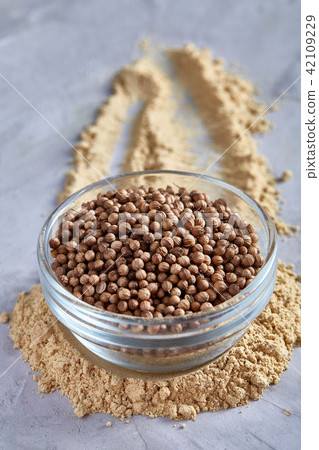 Coriander in glass bowl with clipping path on white background, top view, selective focus, vertical. Coriander in glass bowl with clipping path on white background, top view, selective focus, vertical. 42109229