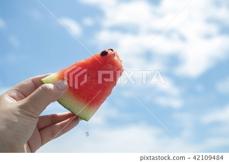 watermelon watermelon 42109484
