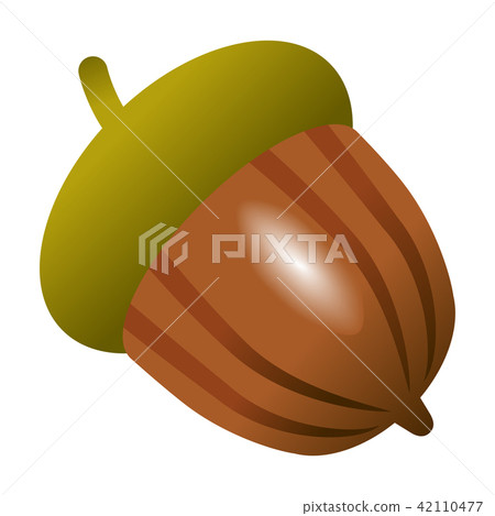 橡子果實 42110477