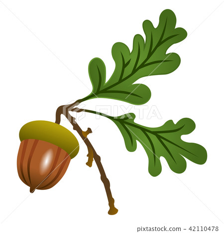 橡子枝 橡子枝 42110478