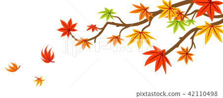 秋葉分支和槭樹下落的葉子 秋葉分支和槭樹下落的葉子 42110498