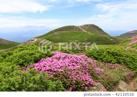 Miyama Kirishima Blooms Kuju Mountain Range - Naka-dake Miyama Kirishima Blooms Kuju Mountain Range - Naka-dake 42110538