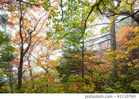 Mt. Seolark 42110760