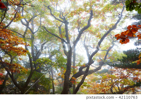 Mt. Seolark 42110763