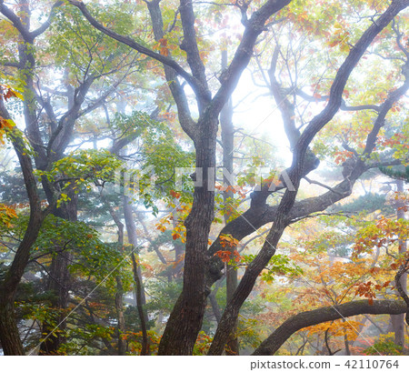 Mt. Seolark 42110764
