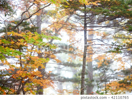 Mt. Seolark 42110765