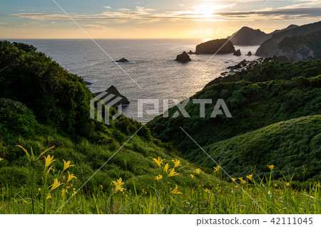 (靜岡縣)Yuge華麗,Oku Ishii Yakuzaki Yugege Park晚景觀 (靜岡縣)Yuge華麗,Oku Ishii Yakuzaki Yugege Park晚景觀 42111045