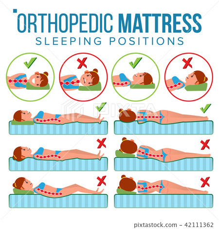 Orthopedic Mattress Vector. Curvature Of Human Spine. Sleeping Position. Spine Support. Health Body 42111362