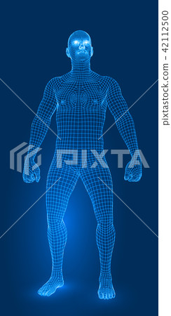digital man figure in fight pose 3d wireframe style vector illustration digital man figure in fight pose 3d wireframe style vector illustration 42112500