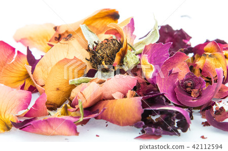 Withered rose and petals on white background 42112594