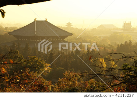 奈良的晚上風景 42113227